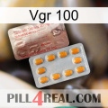 Vgr 100 new13